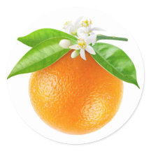 Fruta de laranja e flores