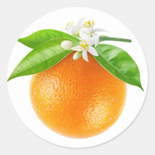 Adesivo Fruta de laranja e flores