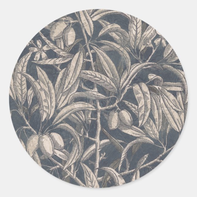 Adesivo Fruta e Floral I (Frente)