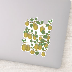 Adesivo Fruta Kiwi