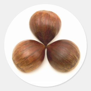Adesivo Frutas de castanha doce