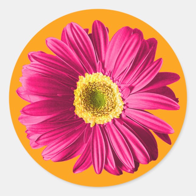 Adesivo Fuchsia Daisy Flower (Frente)