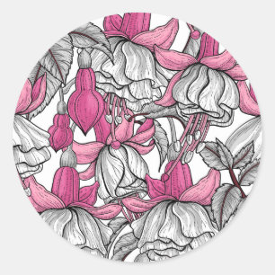 Adesivo Fúcsia em branco e rosa