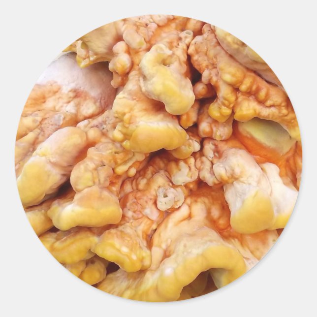 Adesivo Fungo Laranja (Frente)