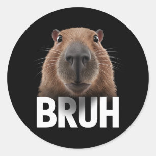 Adesivo Funny Capybara Bruh