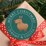 Adesivo Funny Capybara Reindeer Natal<br><div class="desc">Envie esses palitos engraçados de Natal da capybara rendeer com um presente de Natal para seu amigo, membro da família ou amado. A design verde apresenta uma ilustração de capybara no centro com o personalizado "Feliz Natal e nome" perfeito para amantes de capybara. A ilustração de capybara é uma obra...</div>