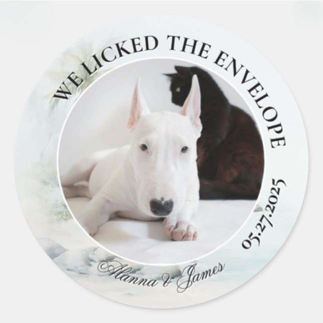 Adesivo Funny Dog “I Licked the Envelope” Tropical Beach (Round wedding sticker with dog and cat photo, “We Licked the Envelope,” and names Alanna and James.)