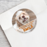Adesivo Funny Dog Real Estate Pop Por<br><div class="desc">Personalize facilmente o texto na frente e atrás desses bonitinhos adesivos de pop. Adicione um saco de guloseimas ou um brinquedo de cão para um presente divertido para donos de cães.</div>