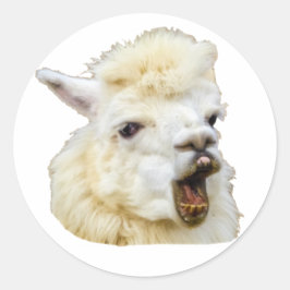 Adesivo Funny face lachendes Alpaka Crazy Lama Zähne