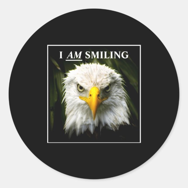 Adesivo Funny I Am Smiling Mpy Eagle Photo  (Frente)