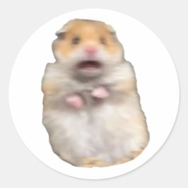 Adesivo funny meme cat