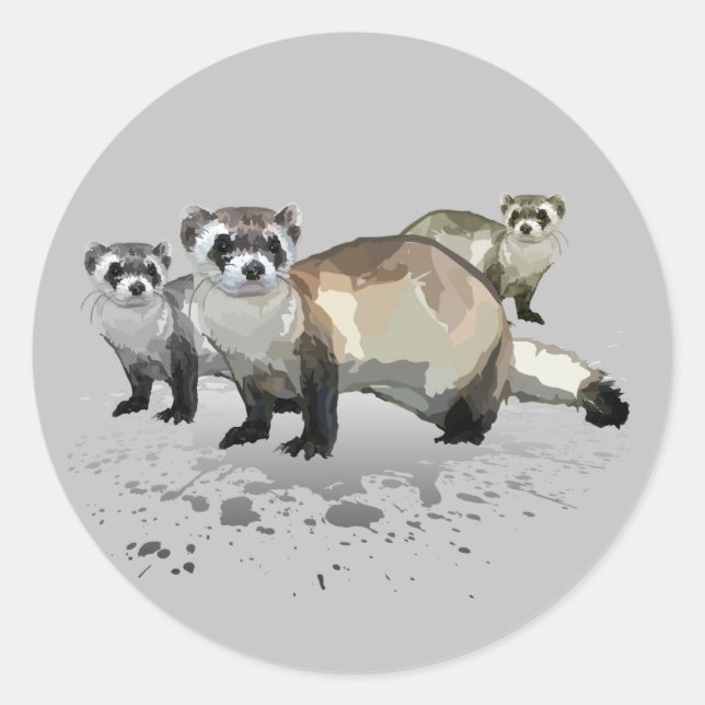 Adesivo Furões (Frente)