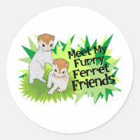 Furry Ferret Amigos