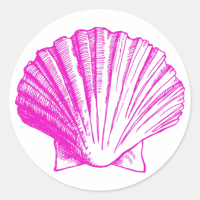 Adesivo Fuscia Sea Shell Sticker (Frente)
