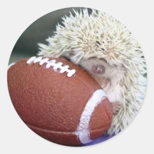 Adesivo Futebol Hedgehog