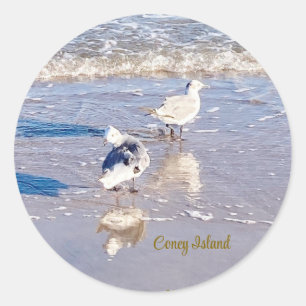 Adesivo Gaivotas de Coney Island