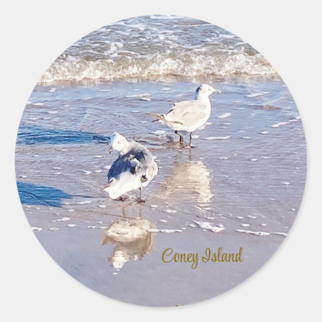 Adesivo Gaivotas de Coney Island (Frente)