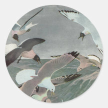 Gaivotas Sobre Ondas do Oceano por Louis Agassiz F