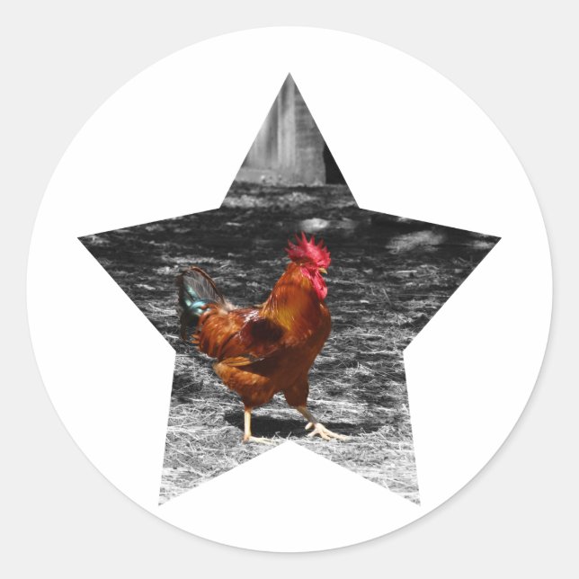 Adesivo Galinha Super Star (Frente)