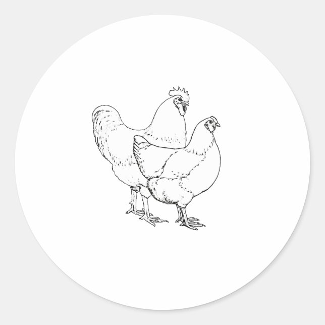 Adesivo Galinhas da raça da herança - galo e galinha (Frente)