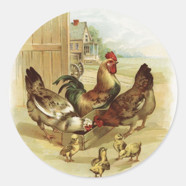 Adesivo Galinhas Fazendas de Arte Vintage (Frente)