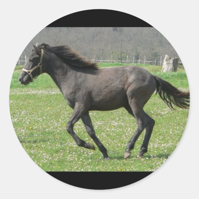 Adesivo Galloping Colt Sticker (Frente)