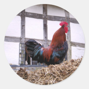 ADESIVO GALO