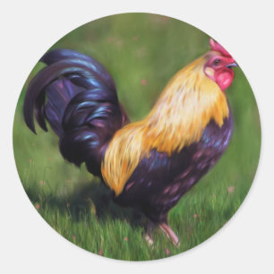 Adesivo Galo da galinha anã de Stuart da arte da galinha