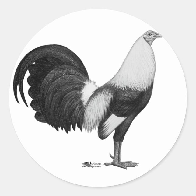Adesivo Galo Galo Grey Duckwing (Frente)