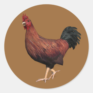 Adesivo Galo Vermelho