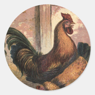 Adesivo Galo Vermelho, Galinha Marrom e Pintinhos para beb