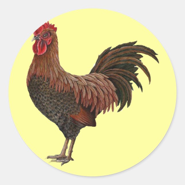 Adesivo Galo Vermelho Grande (Frente)