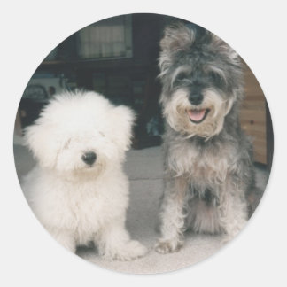 Adesivo Gama de produtos Bichon e Schnauzer