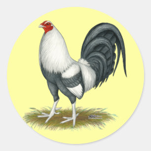 Adesivo Gamecock americano do azul da prata do jogo