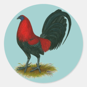 Adesivo Gamecock americano:  Vermelho de Brown