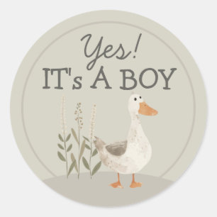 Adesivo Ganso de Aquarela Bonito É Um Pau Redondo