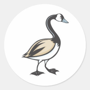 Adesivo Ganso de Canadá