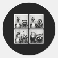 Ganso engraçado e amigos de fotocabine de guaxinim