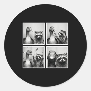 Adesivo Ganso engraçado e amigos de fotocabine de guaxinim