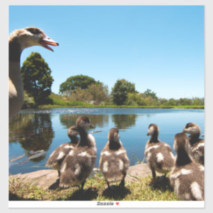 Adesivo Gansos egípcios