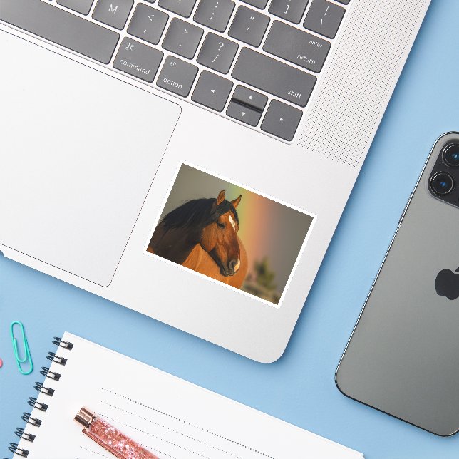 Adesivo Garanhão Selvagem, Luz Dourada e Arco-íris (Notebook com iPhone)