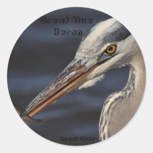 Adesivo Garça-real e Minnow pelo anjo Cher, grande herói