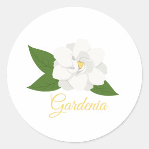 Adesivo Gardenia