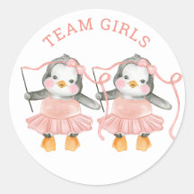 Garotas da Equipe. O gênero gêmeo revela. Votação