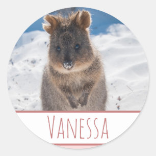 Adesivo Garotas Rosa Personalizadas Quokka Beach Sticker
