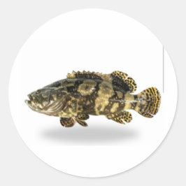 Adesivo Garupa Manchada Majestosa - Peixe de Recife de Cor
