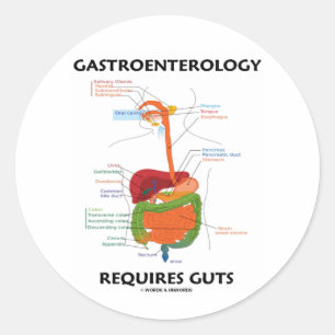 Adesivo Gastroenterologia Requer Arrepios (Sistema Digesti