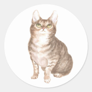 Adesivo Gata Fofa Marrom Rescue Kitty Mãe Amante de Gatos