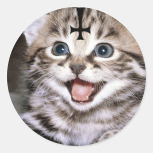 Adesivo gatinho