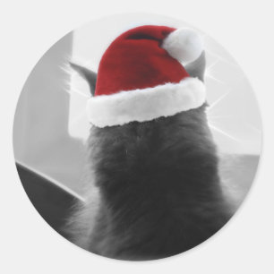 Adesivo Gatinho adorável do Natal